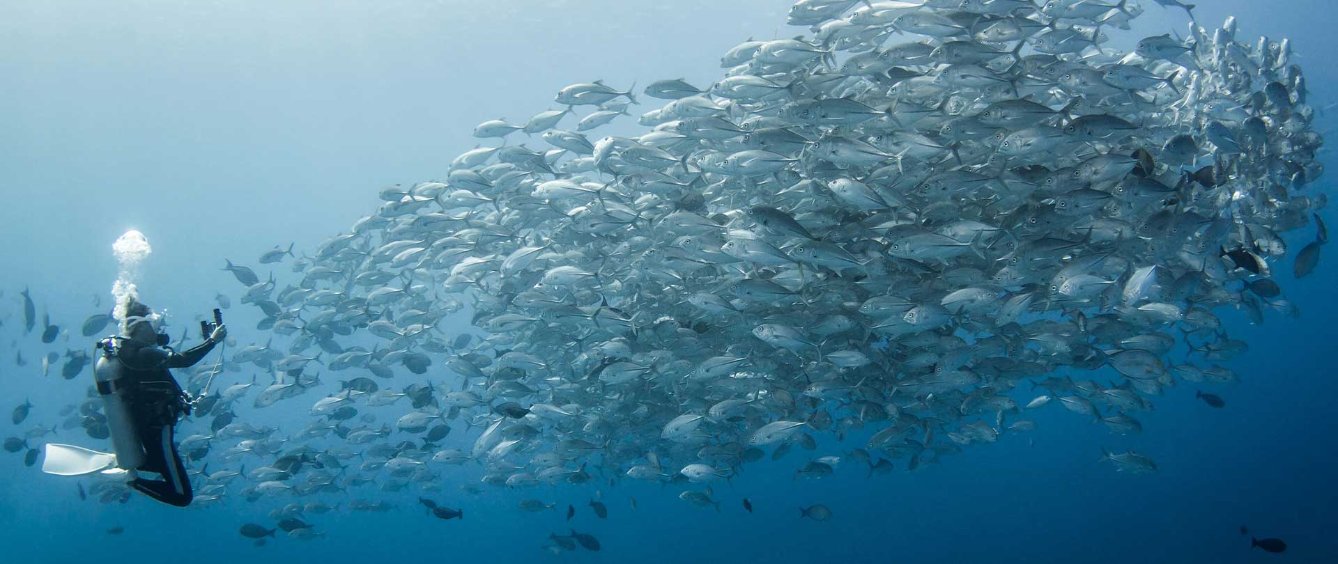 scuba diving in tahiti